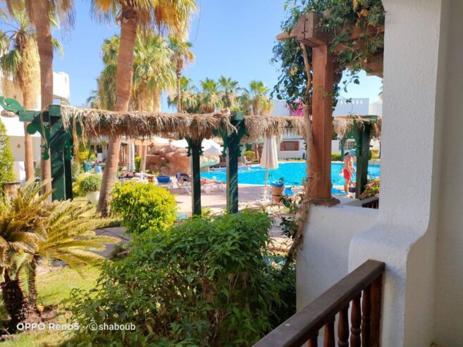 ⭐ Studio triple (3 beds) in front of the sw-pool in Delta Sharm Resort