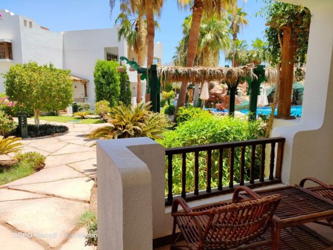 ⭐ Studio triple (3 beds) in front of the sw-pool in Delta Sharm Resort