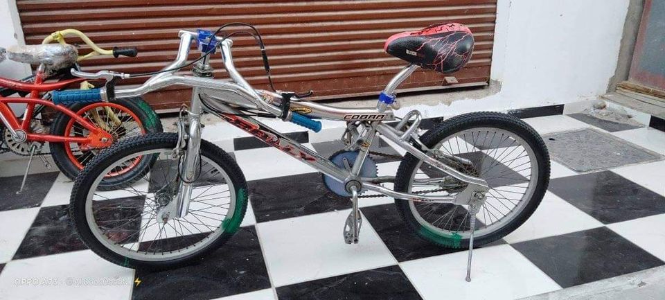 وصول دفعه جديده من العجل التيواني وارد الخليج ابعتلي صورت العجله الي عاوزها وانا تحت امرك