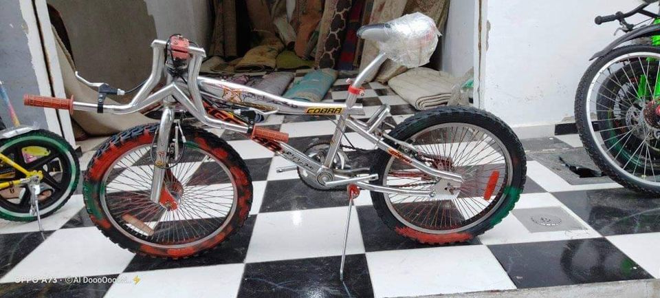 وصول دفعه جديده من العجل التيواني وارد الخليج ابعتلي صورت العجله الي عاوزها وانا تحت امرك