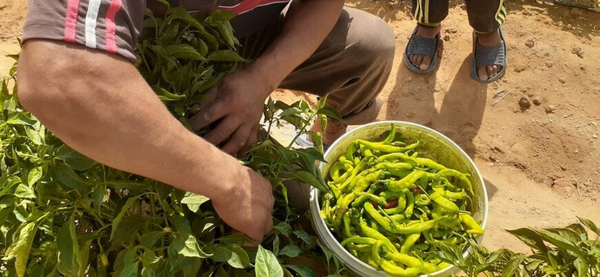 مزرعه ٥ فدان للبيع من المالك