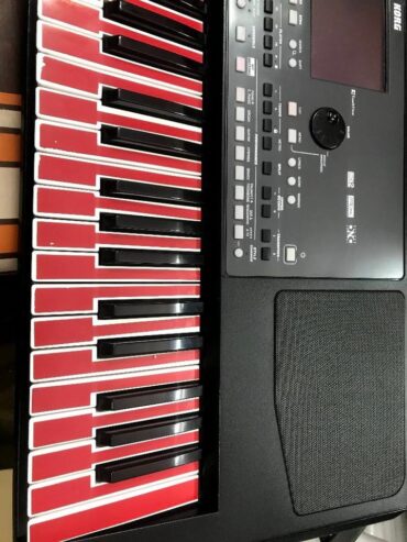 Korg pa600 معاه احدث برنامج السعر 12500 Harmonica store جميع انواع الالأت الموسيقية