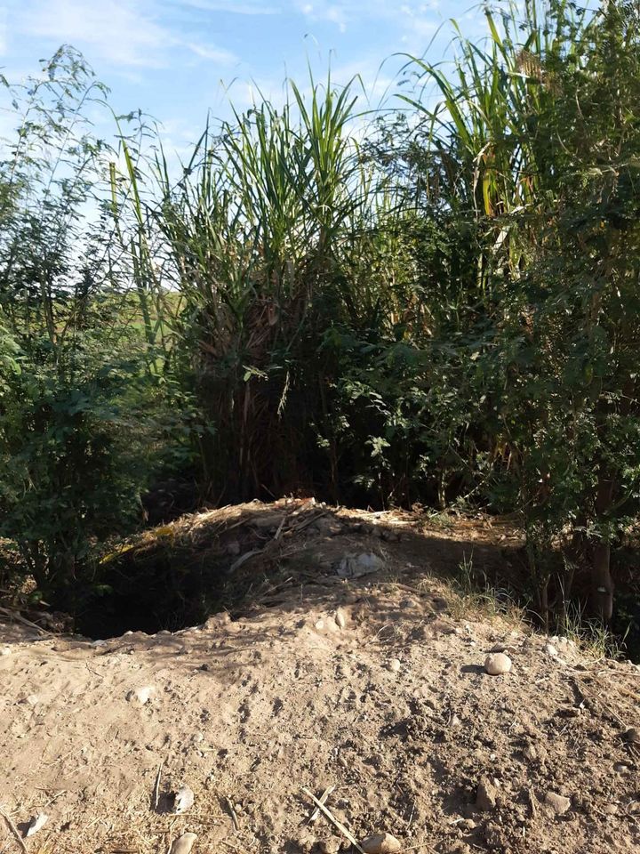 الاقصر القباحى الشرقى