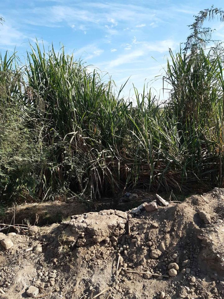 الاقصر القباحى الشرقى