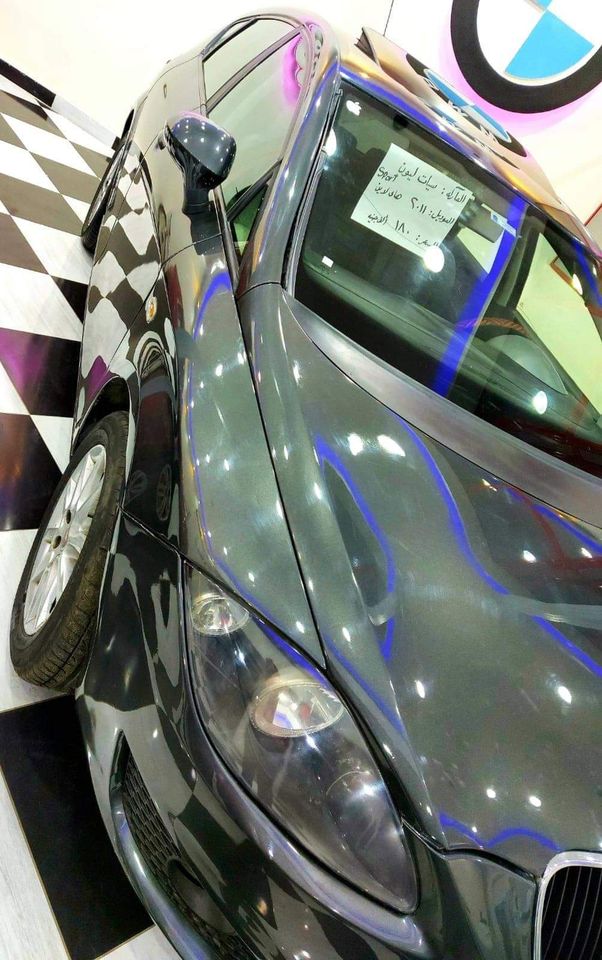 سيات ليون ٢٠١١