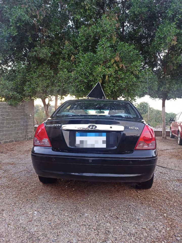 النترا وش الأسد ٢٠٠٥