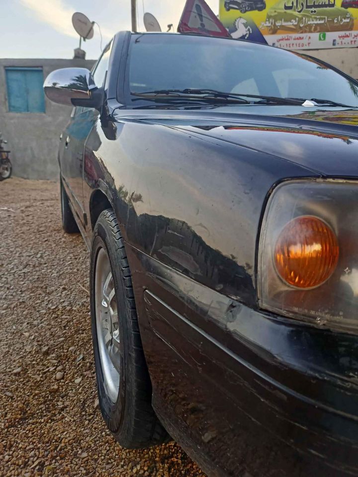 النترا وش الأسد ٢٠٠٥