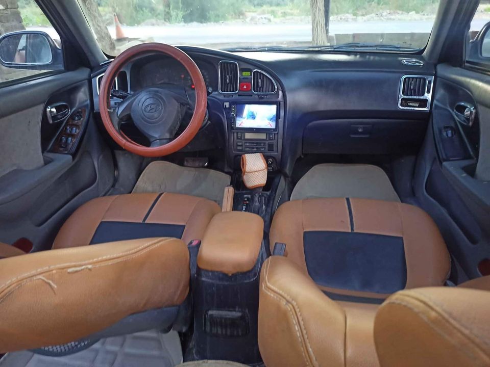 النترا وش الأسد ٢٠٠٥